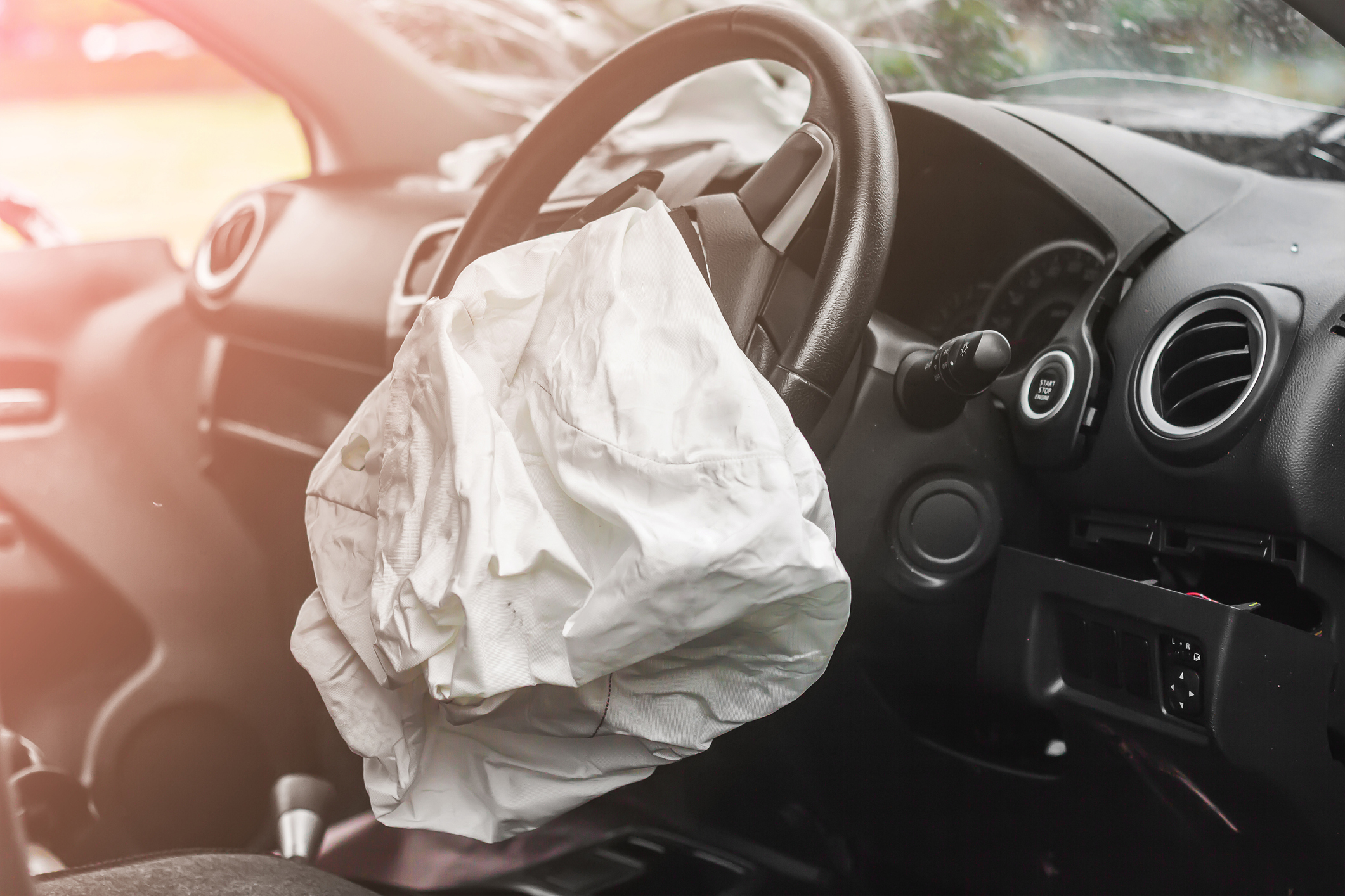 Is It Legal To Drive With A Pet In Your Lap In California?