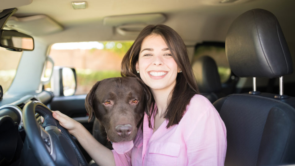 Is It Legal To Drive With A Pet In Your Lap In California?